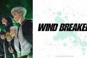 WIND BREAKER Season 1 Hindi Dubbed Episodes Watch Download HD