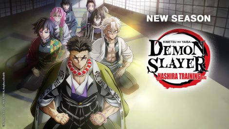 Demon Slayer Season 4 (Hashira Training Arc) Hindi Subbed Episodes Watch Download HD