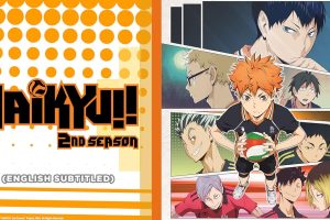 Haikyu!! Season 2 Hindi Dubbed Episodes Watch Download HD